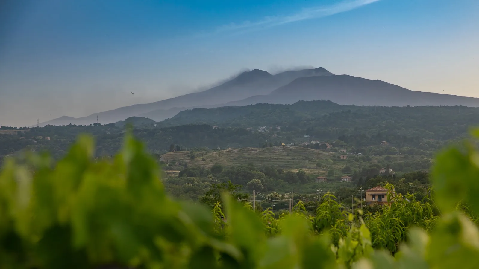 Oenotourisme : visiter les domaines viticoles