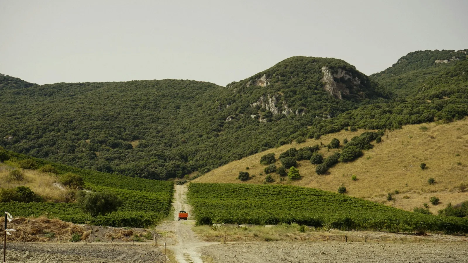 Où acheter du vin en Sicile